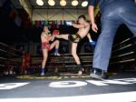 Thai Boxing Stock Photo