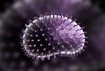 Influenza Virus Stock Photo