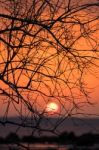 Branch Silhouette Sunset Stock Photo