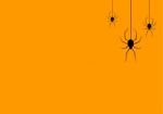 Halloween Spider Hanging Web Background Stock Photo