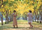 Portrait Of Young Woman Take A Photo In Yellow Flowers Blooming Stock Photo