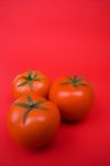 Tomatoes Stock Photo