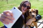 Beautiful Young Woman With Her Dog Using Mobile Phone Stock Photo