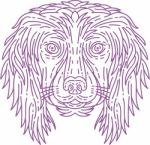 English Cocker Spaniel Dog Head Mono Line Stock Photo