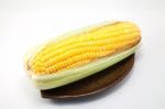 Corn On White Background Stock Photo