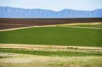 Country Agricultural And Farming Field Stock Photo