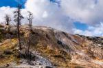 Mammoth Hot Springs Stock Photo