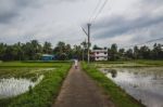 Man Walking Along A Long Road Back To His Home With Rice Fields Stock Photo