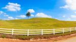 Green Hill Summer Landscape Stock Photo