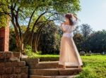 Young Girl In A Light Dress Standing With Her Back In The Park Stock Photo