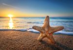 Beautiful Beach With Sunrise Background. Focus On Sea Starfish Stock Photo