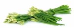 Chives Flower Or Chinese Chive Isolated On White Background Stock Photo