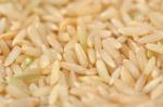 Brown Rice Stock Photo