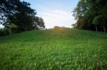 Hillside Lawn With Evening Sun Stock Photo