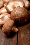 Shiitake Mushrooms Stock Photo