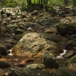 Natural Bridge Creek Stock Photo