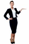 Businesswoman Presenting Something Stock Photo