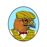 Outdoorsman Hawk Head Drawing Stock Photo