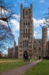 Ely, Cambridgeshire/uk - November 22 : Exterior View Of Ely Cath Stock Photo