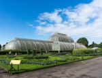 Palm House At Kew Gardens Stock Photo