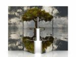 Tree Panels Stock Photo