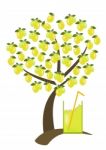 Lemon Juice under lemon Tree Stock Photo
