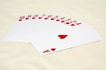 Card Gambling Stock Photo