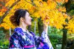 Asian Woman Wearing Japanese Traditional Kimono In Autumn Park. Japan Stock Photo