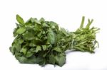 Bunch Of Fresh Watercress Stock Photo