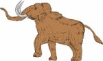 Woolly Mammoth Prancing Drawing Stock Photo