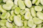 Broad Beans Stock Photo