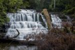 Liffey Falls In The Midlands Region, Tasmania Stock Photo