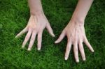 Hand On Fresh Grass Stock Photo