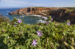 Coastal Algarve Region Stock Photo