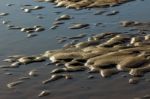 Low Tide Stock Photo