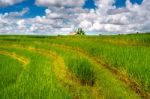 Rice Fields In Bali Island, Indonesia Stock Photo