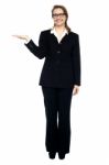 Corporate Lady Posing. Copy Space Concept Stock Photo