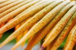 Coconut Leaf Of Coloring Stock Photo