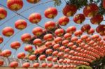 Chinese Paper Lantern Stock Photo