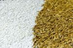 Background From Pile Of Paddy Rice And And Rice Seed Stock Photo