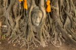 Head Of The Sand Stone Buddha Image Stock Photo