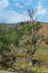 View Of The Countryside Around Malham Cove In The Yorkshire Dale Stock Photo