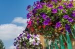 East Grinstead In Bloom Stock Photo