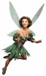 Fairy Stock Photo