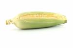 Single Row Corn Stock Photo