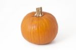 Single Fresh Pumpkin Stock Photo