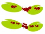 Red Ants Teamwork Illustration Stock Photo