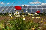 Green Energy Stock Photo