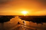 Fisherman At Work  Stock Photo