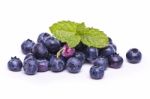 Tasty Blueberries Stock Photo